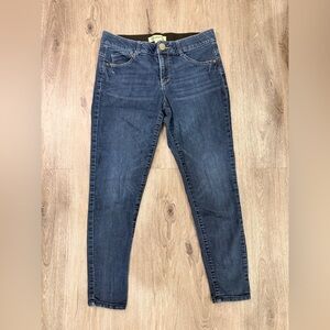 Democracy Dark Blue Skinny Jeans